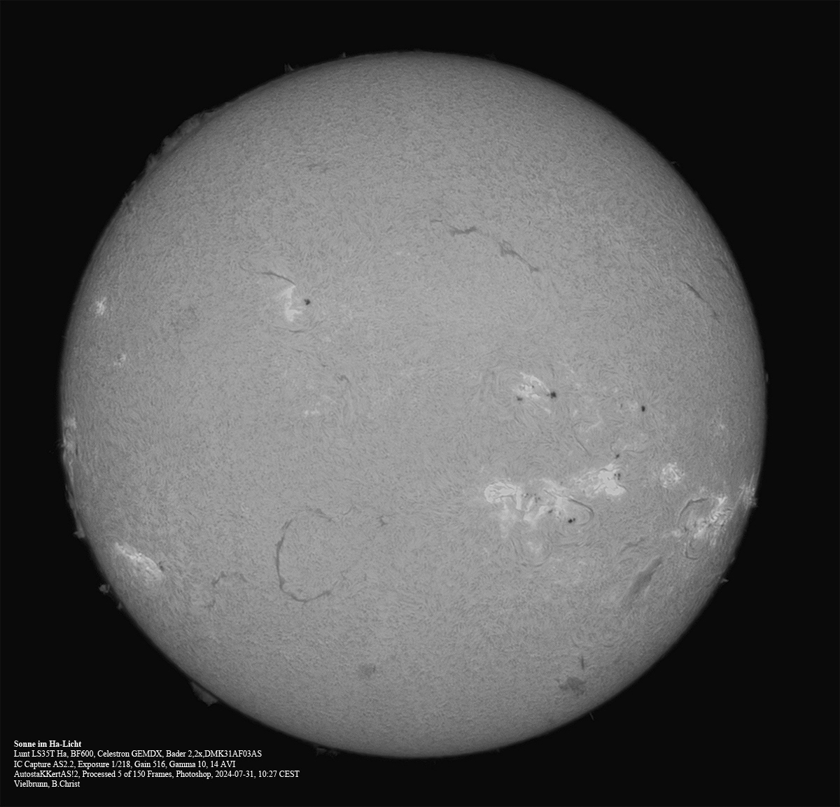 03-ha-sonne-2024-07-31-tx-1200-a