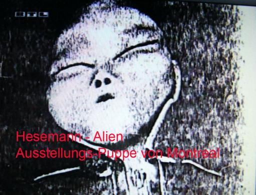 1995-10-xdd-RTL-Alien-Puppe in Hesemann-Film als echter Alien