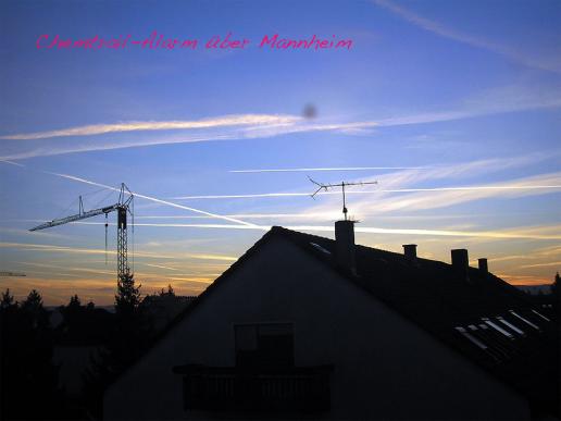2006-10-fc-Aufnahme vom Morgenhimmel welcher zu Chemtrail-Alarm fu00fchrte