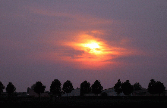 2007-04-beb-Sonnenuntergang bei Mannheim-Feudenheim