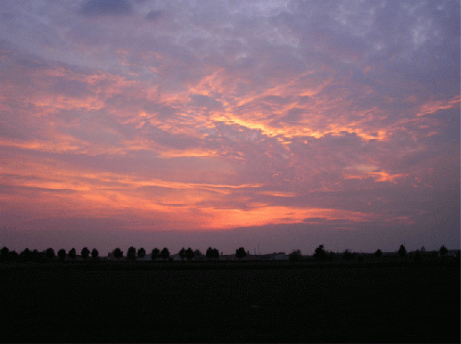 2007-04-bed-Sonnenuntergang bei Mannheim-Feudenheim