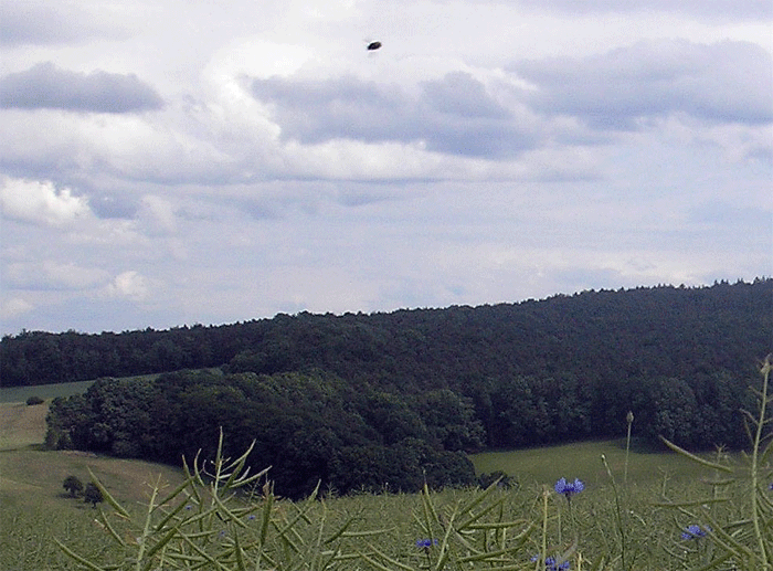2007-05-dabk-Insektendurchflug