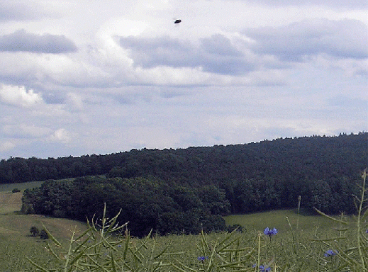 2007-05-dabk-Insektendurchflug