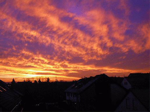 2008-01-gd-Sonnenaufgang über Mannheim