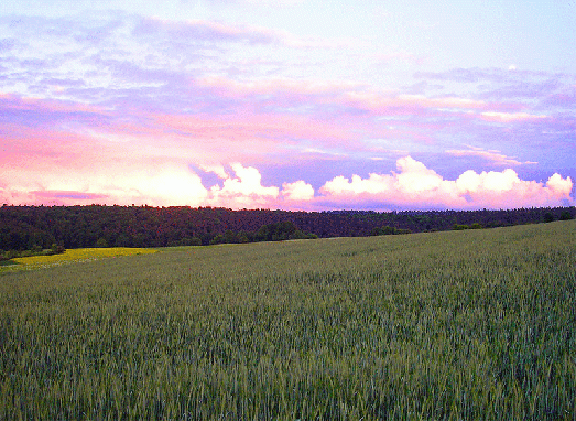2008-05-faf-Horizont-Wolken - Odenwald