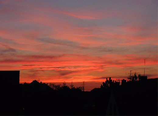 2008-07-eke-Sonnenuntergang - Mannheim