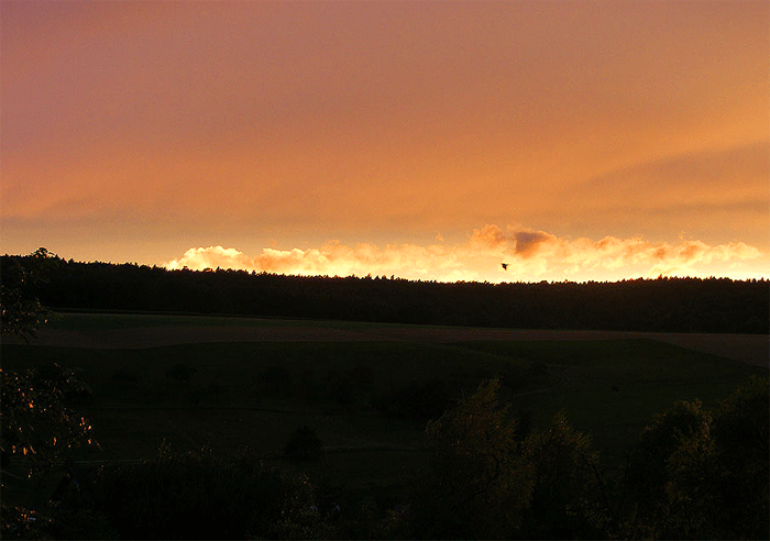 2008-08-ftb-Rabe vor Sonnenuntergang-Szene