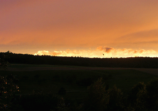 2008-08-ftb-Rabe vor Sonnenuntergang-Szene