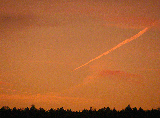 2008-10-edb-Kondensstreifen bei Sonnenuntergang - Odenwald