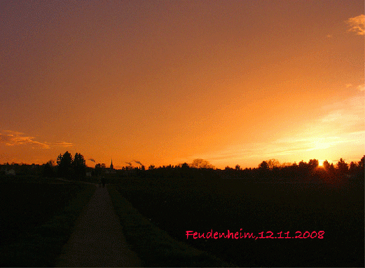 2008-11-cda-Sonnenuntergang bei Mannheim-Feudenheim
