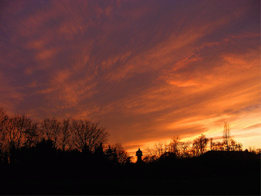 2008-11-cdg-Sonnenuntergang bei Feudenheim