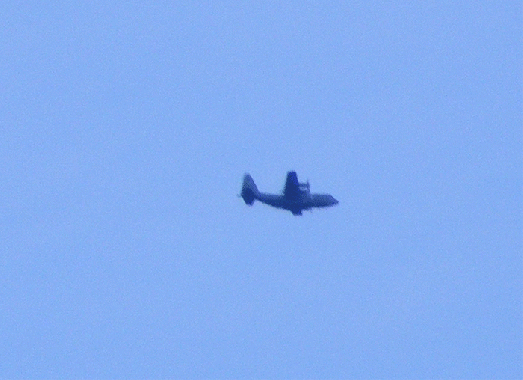 2008-12-cga-C-130-USAF-Überflieger