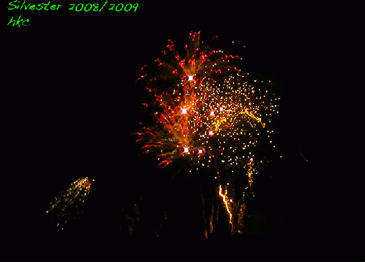 2009-01-adc-Silvester-Feuerwerk-2008/2009