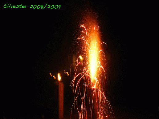 2009-01-adg-Silvester-Feuerwerk