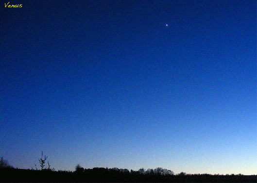 2009-01-dfd-Venus am Abendhimmel