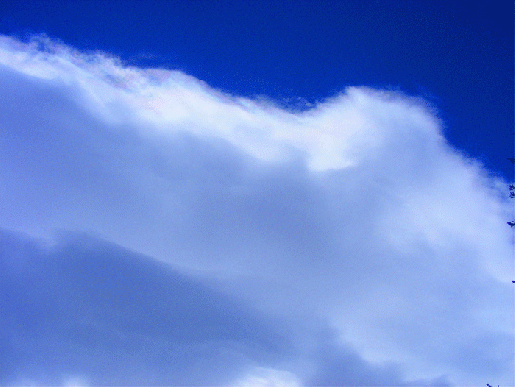 2009-02-0673-Irisierende Wolke