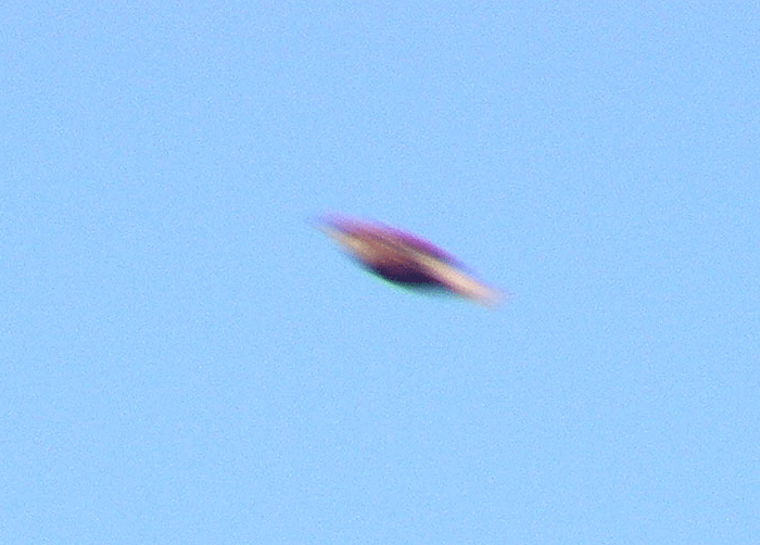 2009-05-cnba-Untertassen-Effekt durch Haussperling-Vorbeiflug