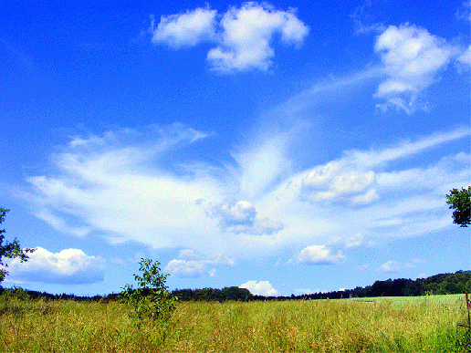 2009-06-azb-Feder-Wolke u00fcber Odenwald