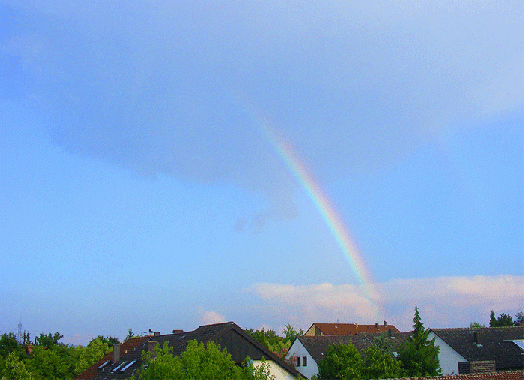 2009-06-faj-Regenbogen - Mannheim