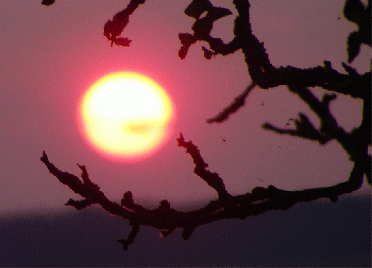 2009-06-gbkb-Sonnenuntergang - Odenwald
