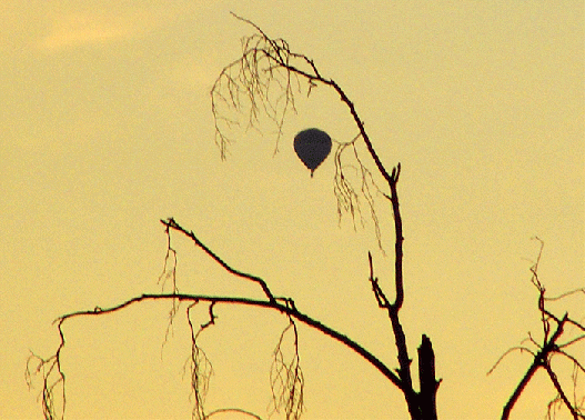 2009-07-dg-Heiu00dfluftballon