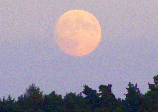 2009-08-bhmb-Voll-Mondaufgang - Odenwald