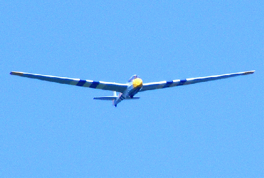 2009-08-bng-Segelflugzeug - Odenwald