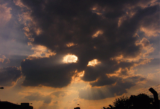 2009-08-ffh-Sonnenstrahleneffekt bei Sonnenuntergang - Mannheim