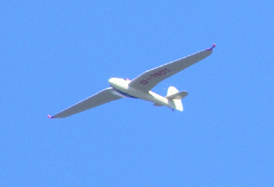 2009-08-helc-Segelflugzeug - Obernau