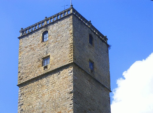 2009-08-iee-Burg Guttenberg