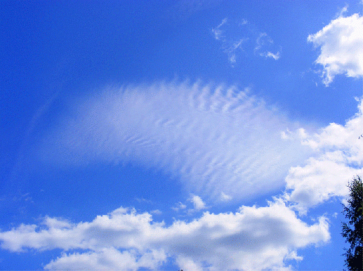 2009-08-jbw-Federwolke u00fcber Odenwald welche gefolgt wurde von Linsenwolken - siehe nachfolgende Fotos