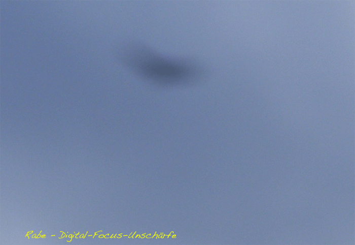2009-10-bcd-Rabenkru00e4he-Ufoeffekt durch falsche Focusierung