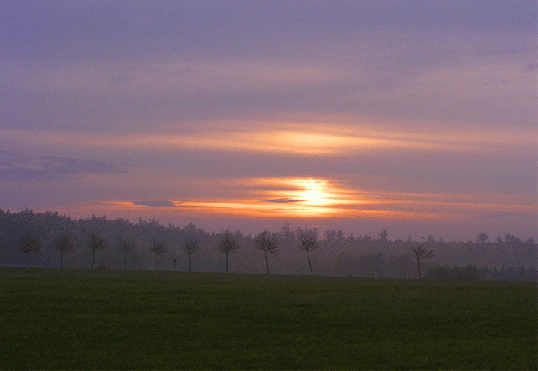 2009-11-b-Sonnenuntergang bei Vielbrunn - Odenwald