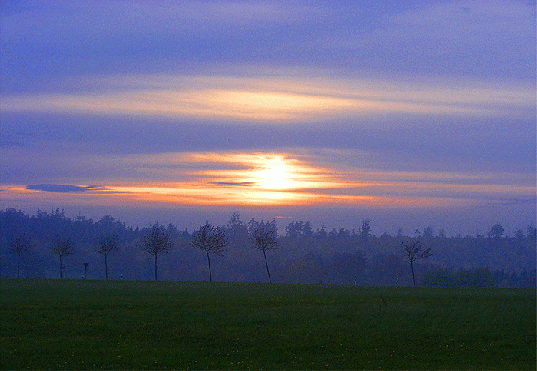 2009-11-bd-Sonnenuntergang bei Vielbrunn-Odw