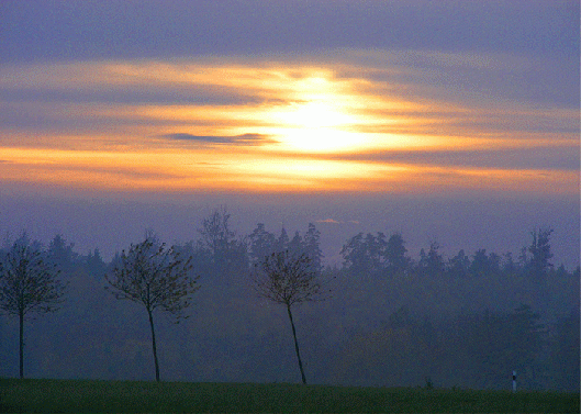 2009-11-be-Sonnenuntergang bei Vielbrunn-Odw