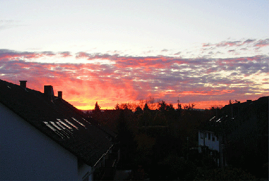 2009-11-c-Sonnenaufgang über Mannheim