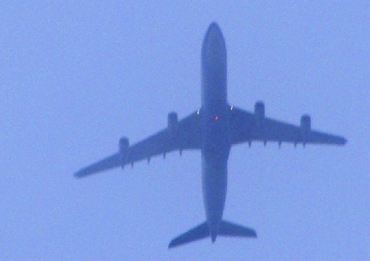 2009-11-fe-Überflieger im Herbstnebel