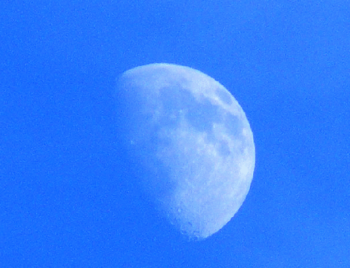 2009-12-cod-Mond