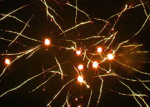 2009-12-dpla-Feuerwerk
