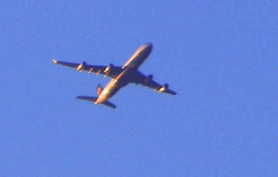 2010-03-dra-Überflieger in der Abendsonne
