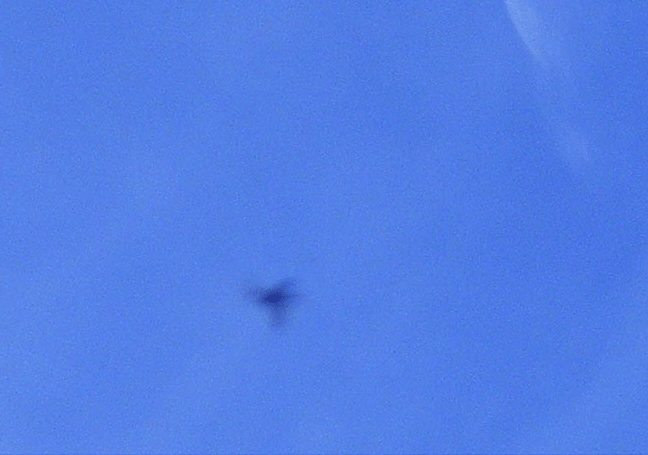 2010-04-fbaa-Starenflug-Ufoeffekt