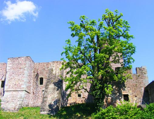 2011-04-ffap-Burg Schwarzenfels