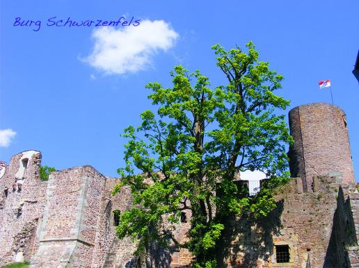2011-04-ffaq-Burg Schwarzenfels