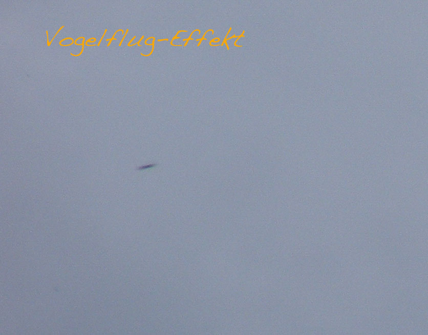 2011-07-gaab-Vogelflug-Effekt