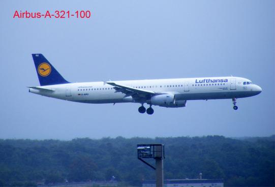 2011-08-bur-Lufthansa im Anflug - Flughafen Frankfurt
