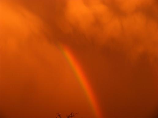 2011-09-cri-Regenbogen bei Sonnenuntergang und Gewitterwolke u00fcber Odenwald