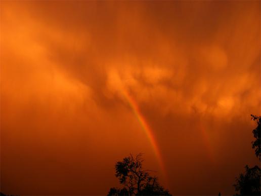 2011-09-crk-Regenbogen bei Sonnenuntergang und Gewitterwolke u00fcber Odenwald