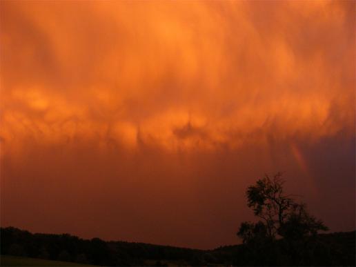 2011-09-crmd-Regenbogen bei Sonnenuntergang und Gewitterwolke u00fcber Odenwald