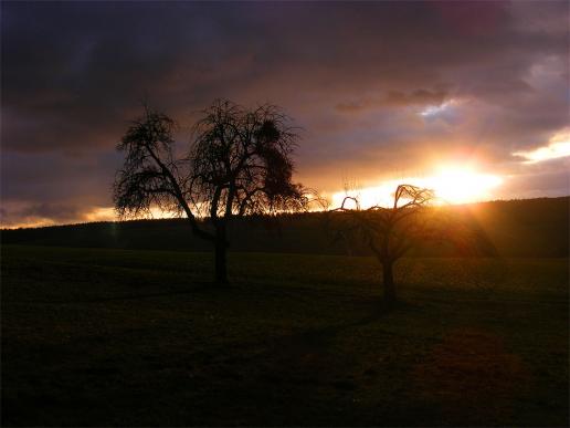 2011-12-die-Sonnenuntergang - Odenwald