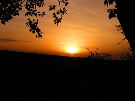 2012-04-fh-Sonnenuntergang - Odenwald